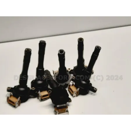 1748017 Bobina de Encendido Bremi 11860 (6 Bobinas) BMW E36-E38-E39-E46 1998