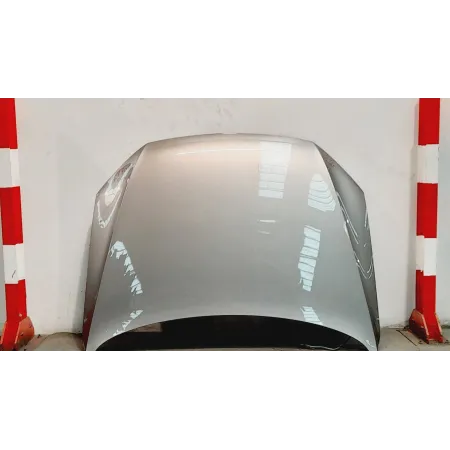 CAPÓ VOLKSWAGEN PASSAT