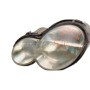 Faro Delantero Izquierdo Mercedes Benz W203 Sportcoupe C 220 2004 2004 C220