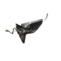 E1 010681 Retrovisor Derecho Audi A4 B6 2003 | Desguaces Foro
