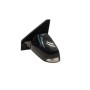E9 03-6098 Retrovisor Izquierdo Renault Laguna III 2008