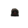 Tg15C 053 Alternador Peugeot 807 2007 | Desguaces Foro