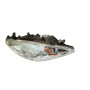 9646291980-03 FARO DELANTERO DERECHO PEUGEOT 307