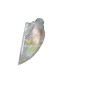 Intermitente Delantero Izquierdo RENAULT LAGUNA I