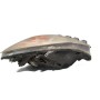 Faro Xenon Delantero Izquierdo Renault  Scenic II Fase II 2008