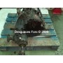 Caja de Cambios NISSAN X-TRAIL 2.2 D 20058H5