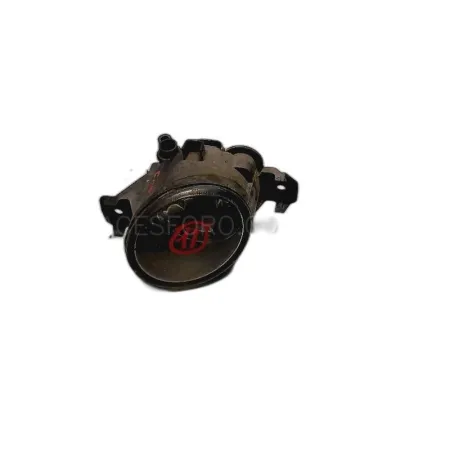 8200002470 Antiniebla Delantero Izquierdo RENAULT LAGUNA II | Desguaces Foro