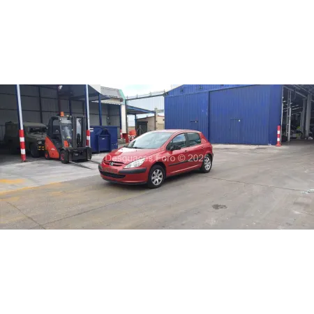 Despiece PEUGEOT 307
