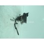 6759047 ABS BMW E-46 SERIE 3