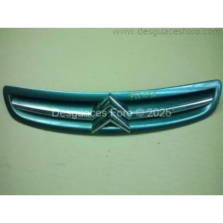 Rejilla Delantera CITROEN XSARA PICASSO Gris