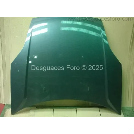 Comprar Capó de Ford Fiesta Gris Oscuro | Desguaces Foro