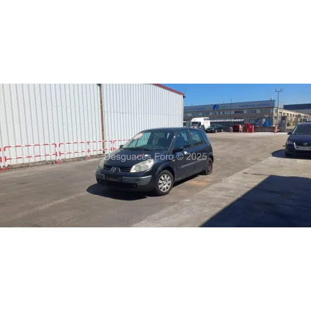 Despiece RENAULT MEGANE II FASE I