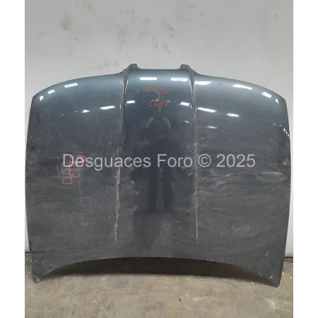 CAPÓ SEAT LEON I