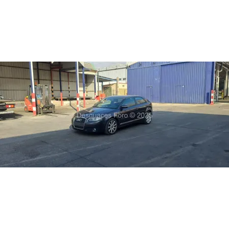 Despiece AUDI A3 8P