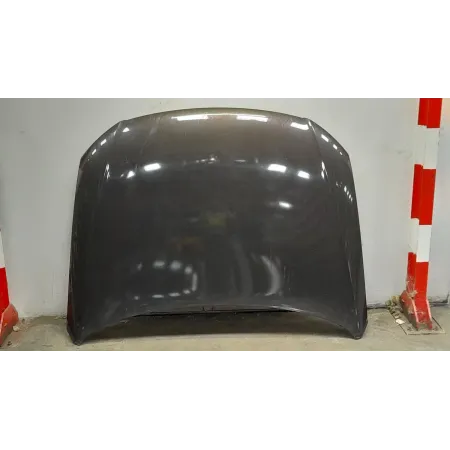 CAPÓ VOLKSWAGEN PASSAT