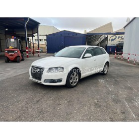 Despiece AUDI A3 8P