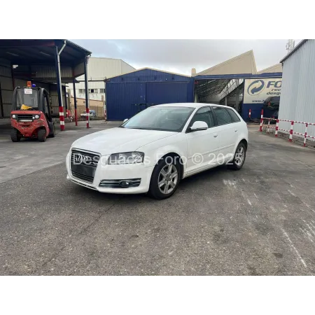 Despiece AUDI A3 8P