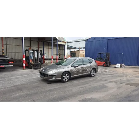 Despiece PEUGEOT 407 SW