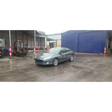 Despiece PEUGEOT 407