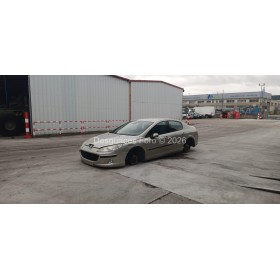 Despiece PEUGEOT 407