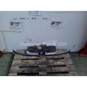 Rejilla elantera Peugeot 307 plata
