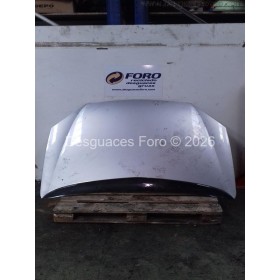 Capo delantero Citroen C5 Fase l plata