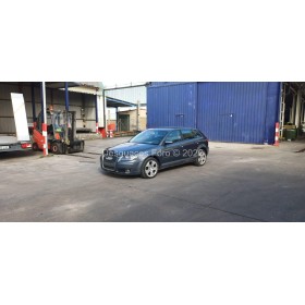 Despiece AUDI A3 8P