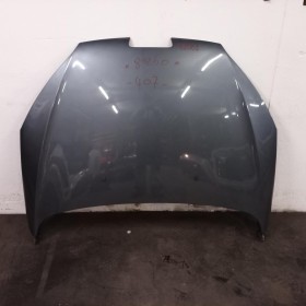 CAPÓ PEUGEOT 407