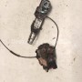 CERRADURA DE PUERTA TRASERA IZQUIERDA RENAULT LAGUNA III