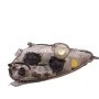 0 301 192 202 FARO DELANTERO DERECHO MERCEDES BENZ A160 W168