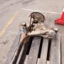 PUENTE TRASERO SEAT EXEO I