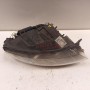 4F0 941 004 1EL 009 925-22 8K0.941.597 C (CENTRALITA XENÓN) FARO XENON DELANTERO DERECHO AUDI A6 FAMILIAR