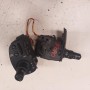 88102001258 0169080841 MANDO MULTIFUNCIÓN RENAULT CLIO III