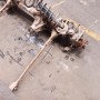 PUENTE DELANTERO LAND ROVER DISCOVERY TD5