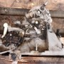 20DM69 CAJA DE CAMBIOS COMPLETA PEUGEOT 308