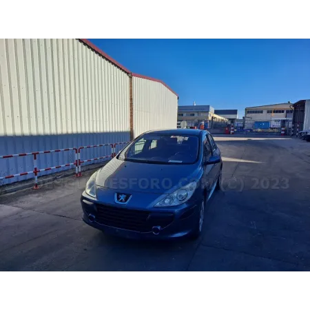 Despiece Peugeot 307 5 Puertas Gris al mejor precio | Desguaces Foro