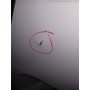 Puerta Trasera Izquierda FIAT DOBLO Blanca 2003 | Desguaces Foro