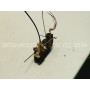 Cerradura Delantera Izquierda Land Rover Range Rover P38 2001 2001
