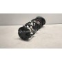 Muelle Trasero CITROEN BERLINGO IV